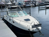 Sea Ray - Sea Ray DA 255 Sundancer