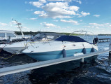 Sea Ray - Sea Ray DA 255 Sundancer