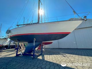 Thumbnail - Baltic 42