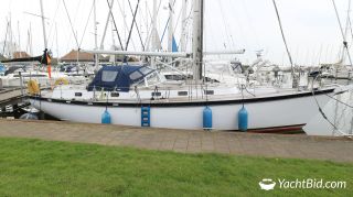 Thumbnail - Koopmans 41