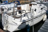 Thumbnail - Hanse 311