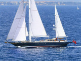 Jongert - Jongert 31T