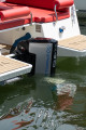Nuva Yachts - Nuva M6 Elektroboot