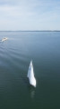 Bavaria - Bavaria 32