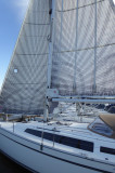  - Cruiser 33