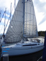 Bavaria - Cruiser 33